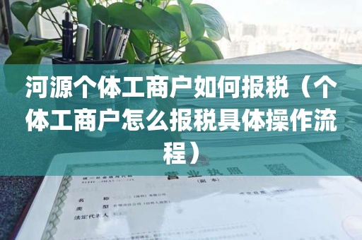 河源个体工商户如何报税（个体工商户怎么报税具体操作流程）