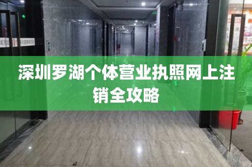 深圳罗湖个体营业执照网上注销全攻略