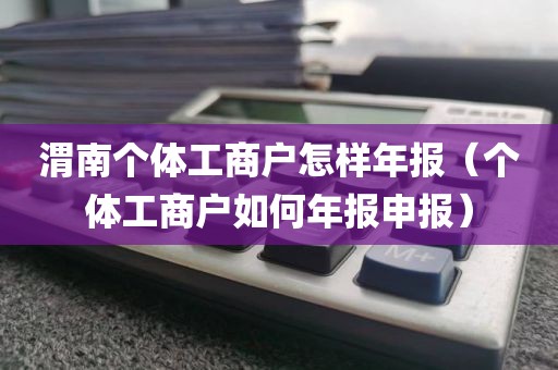 渭南个体工商户怎样年报（个体工商户如何年报申报）