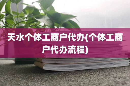 天水个体工商户代办(个体工商户代办流程)