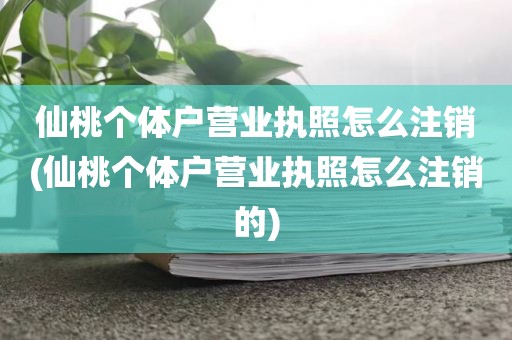 仙桃个体户营业执照怎么注销(仙桃个体户营业执照怎么注销的)
