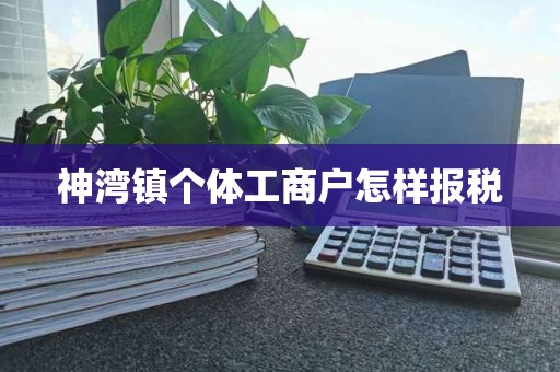 神湾镇个体工商户怎样报税