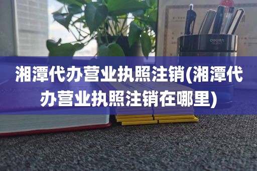湘潭代办营业执照注销(湘潭代办营业执照注销在哪里)