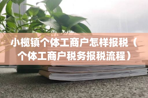 小榄镇个体工商户怎样报税（个体工商户税务报税流程）