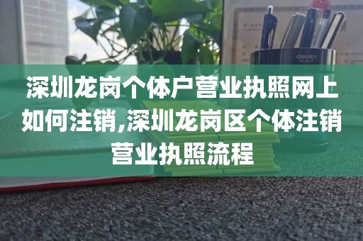 深圳龙岗个体户营业执照网上如何注销,深圳龙岗区个体注销营业执照流程