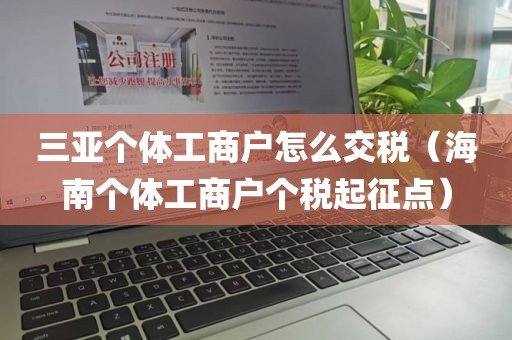 三亚个体工商户怎么交税（海南个体工商户个税起征点）