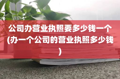 公司办营业执照要多少钱一个(办一个公司的营业执照多少钱)