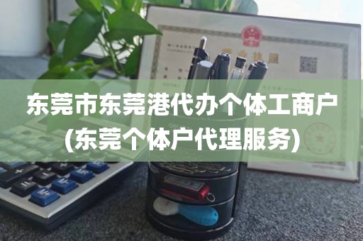 东莞市东莞港代办个体工商户(东莞个体户代理服务)