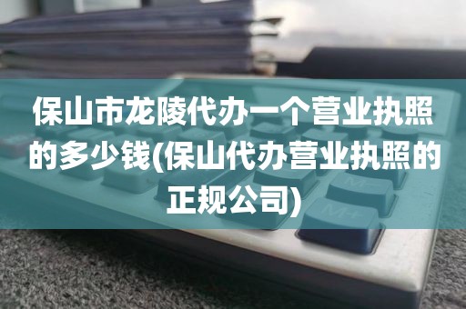 保山市龙陵代办一个营业执照的多少钱(保山代办营业执照的正规公司)