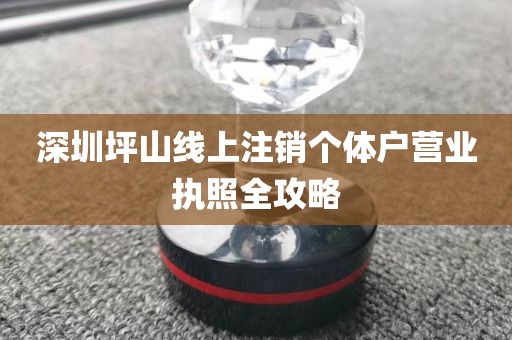 深圳坪山线上注销个体户营业执照全攻略