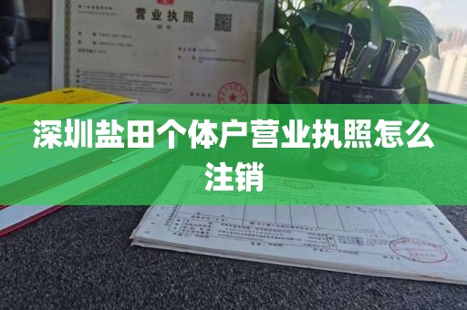 深圳盐田个体户营业执照怎么注销
