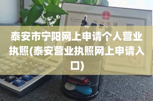 泰安市宁阳网上申请个人营业执照(泰安营业执照网上申请入口)