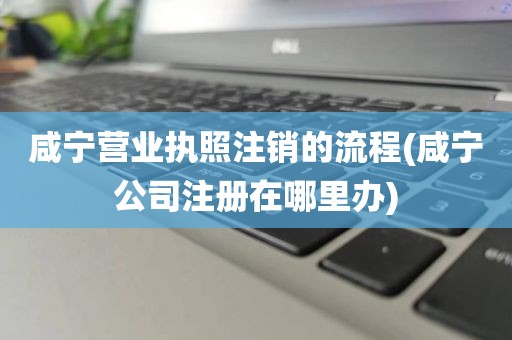 咸宁营业执照注销的流程(咸宁公司注册在哪里办)