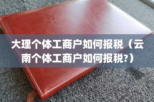 大理个体工商户如何报税（云南个体工商户如何报税?）