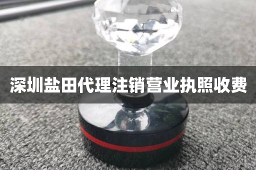 深圳盐田代理注销营业执照收费