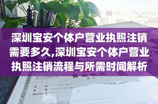深圳宝安个体户营业执照注销需要多久,深圳宝安个体户营业执照注销流程与所需时间解析