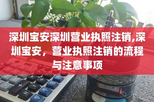 深圳宝安深圳营业执照注销,深圳宝安，营业执照注销的流程与注意事项