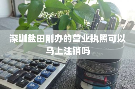 深圳盐田刚办的营业执照可以马上注销吗