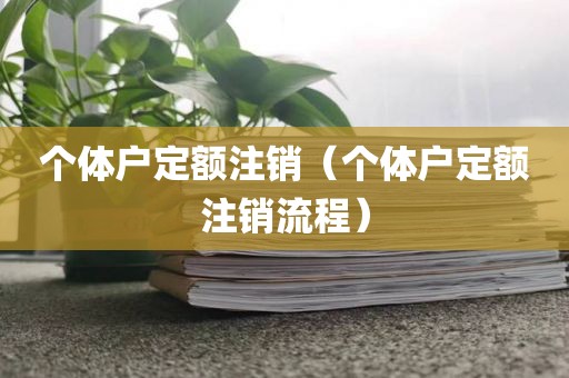 个体户定额注销（个体户定额注销流程）