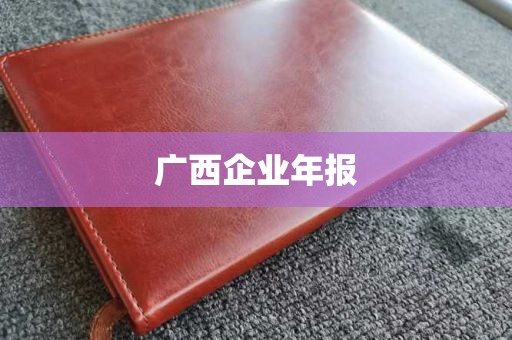 广西企业年报