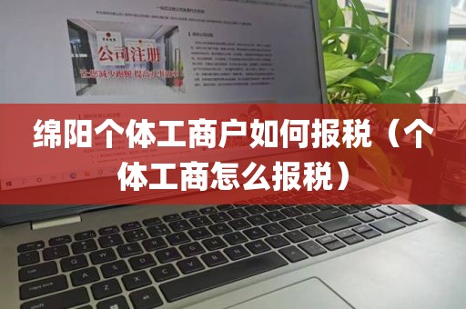 绵阳个体工商户如何报税（个体工商怎么报税）