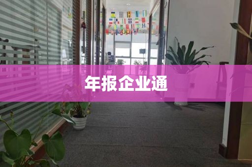 年报企业通