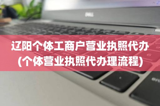 辽阳个体工商户营业执照代办(个体营业执照代办理流程)
