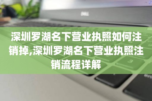 深圳罗湖名下营业执照如何注销掉,深圳罗湖名下营业执照注销流程详解