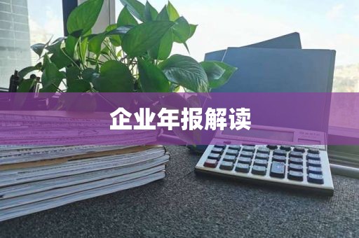 企业年报解读