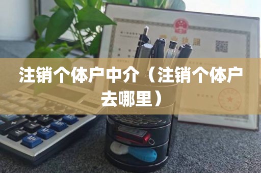 注销个体户中介（注销个体户去哪里）