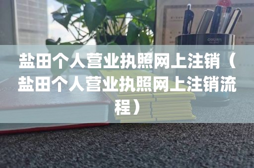 盐田个人营业执照网上注销（盐田个人营业执照网上注销流程）