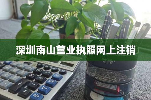 深圳南山营业执照网上注销