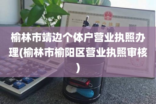 榆林市靖边个体户营业执照办理(榆林市榆阳区营业执照审核)