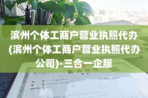 滨州个体工商户营业执照代办(滨州个体工商户营业执照代办公司)-三合一企服