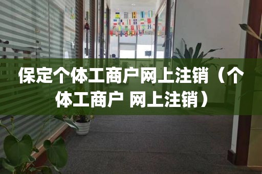 保定个体工商户网上注销（个体工商户 网上注销）