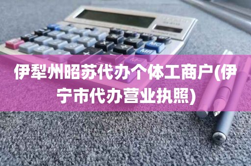 伊犁州昭苏代办个体工商户(伊宁市代办营业执照)