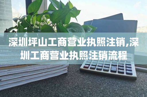 深圳坪山工商营业执照注销,深圳工商营业执照注销流程