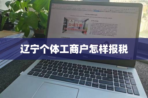 辽宁个体工商户怎样报税