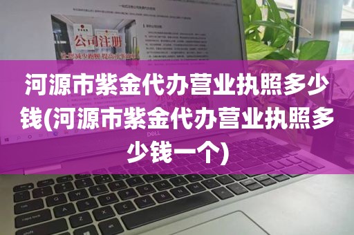 河源市紫金代办营业执照多少钱(河源市紫金代办营业执照多少钱一个)