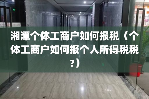 湘潭个体工商户如何报税（个体工商户如何报个人所得税税?）