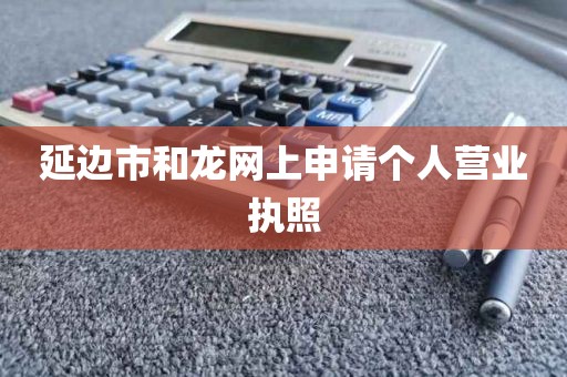 延边市和龙网上申请个人营业执照
