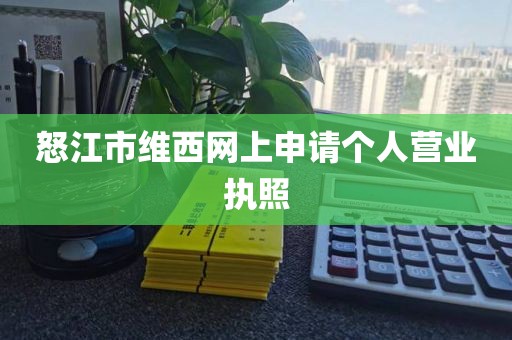 怒江市维西网上申请个人营业执照