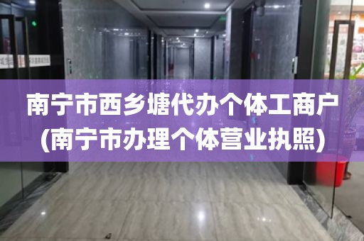 南宁市西乡塘代办个体工商户(南宁市办理个体营业执照)