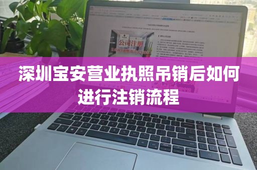 深圳宝安营业执照吊销后如何进行注销流程