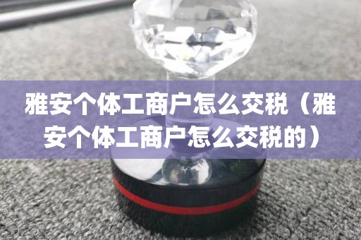 雅安个体工商户怎么交税（雅安个体工商户怎么交税的）