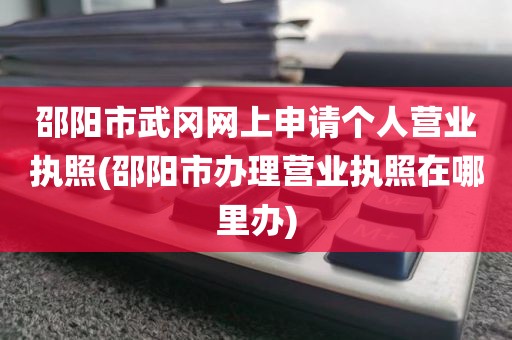 邵阳市武冈网上申请个人营业执照(邵阳市办理营业执照在哪里办)