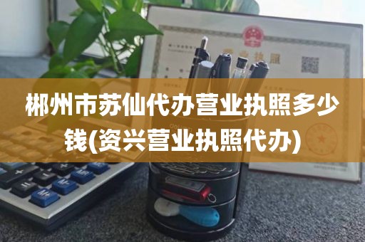 郴州市苏仙代办营业执照多少钱(资兴营业执照代办)
