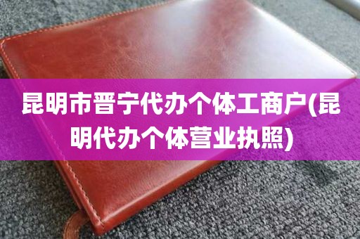 昆明市晋宁代办个体工商户(昆明代办个体营业执照)
