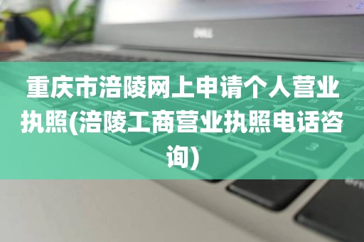 重庆市涪陵网上申请个人营业执照(涪陵工商营业执照电话咨询)