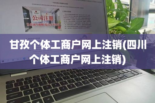 甘孜个体工商户网上注销(四川个体工商户网上注销)